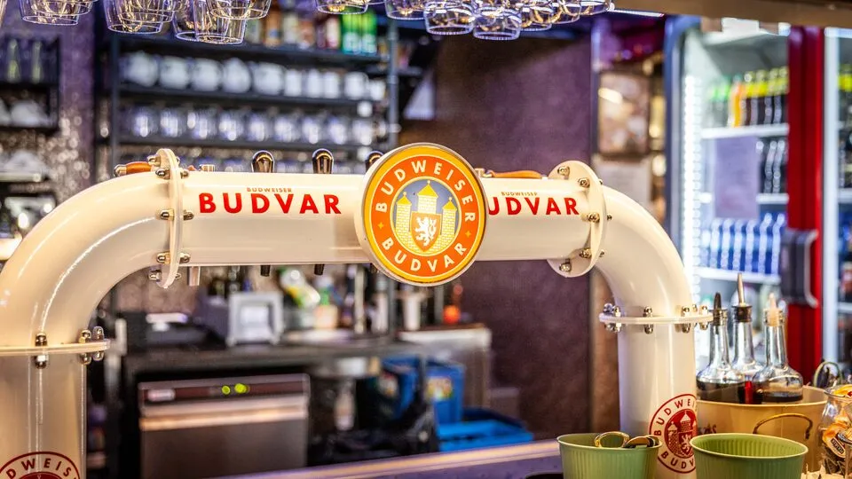 Nalewak piwa Budweiser Budvar – tanková hospoda na Starym Rynku w Poznaniu