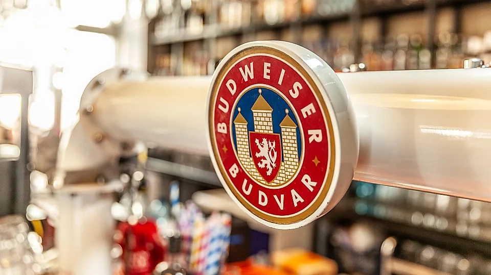 Nalewak piwa Budweiser Budvar – tanková hospoda Poznań