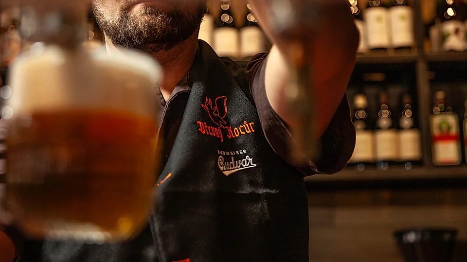 Barman nalewa piwo Budweiser Budvar z tanka – czeskie piwo Poznań